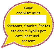 Come and visit us at
MAD MOGGIES
Cartoons, Stories, Photos etc about Sybil’s pet cats, past and present